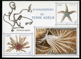 FEUILLET** De 2018 Des TAAF Gommé Avec 3 Timbres "ECHINODERMES DE TERRE ADELIE"" - Blocs-feuillets