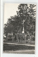 53 Mayenne Bourgneuf La Foret Le Calvaire Ed Beaussier Cliché Le Ray - Sonstige & Ohne Zuordnung