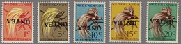 Netherlands New Guinea - Altri & Non Classificati