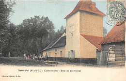 62-SAINT-POL-CATHERINETTE- BOIS DE ST-MICHEL - Saint Pol Sur Ternoise