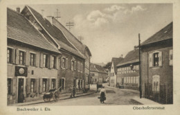 67 / Bischwiller - Bischweiler - Oberhoferstrasse - Bischwiller