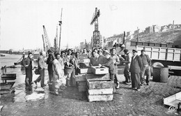 62-BOULOGNE-SUR-MER- DECHARGEMENT DU POISSON - Boulogne Sur Mer