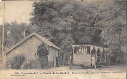 Tramway De La Grande Côte          17   Forêt De La Coubre  Terminus De La Ligne Du Tram     (voir Scan) - Altri & Non Classificati