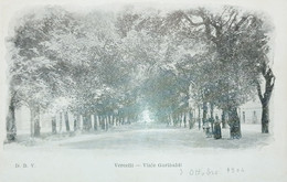 Cartolina - Vercelli - Viale Garibaldi - 1904 - Vercelli