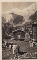 Saas Fee, Landschaft Mit Alphubel (pk78043) - Saas Im Prättigau