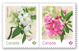 2021 Canada Flower Crabapple Blossom Pair From Booklet MNH - Francobolli (singoli)