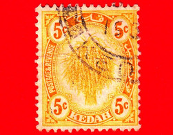 MALESIA - Malaya - KEDAH - Usato - 1922 - Raccolti - Riso - Rice - 5 - Kedah