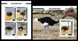 Chad 2020 Ostriches. (511) OFFICIAL ISSUE - Struisvogels
