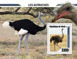 Chad 2020 Ostriches. (511b) OFFICIAL ISSUE - Struzzi