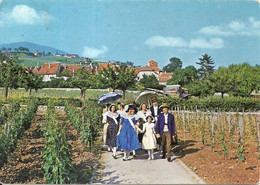 02 - 2021 - SUISSE - CANTON DE NEUFCHATEL - NEUFCHATEL -  CPSM GF Couleur - Groupe De Chanteurs Vignobles D'Auvernier - Auvernier