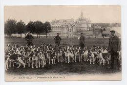 - CPA CHANTILLY (60) - Promenade De La Meute (belle Animation) - Editions Lévy N° 47 - - Chantilly