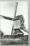 *** 2 X GEEL ***  -   Molen  Gansakker - Geel