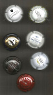 Capsule De CHAMPAGNE , LOT DE 7 CAPSULES DE CHAMPAGNE - Collezioni