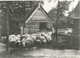 Laren (NH), Bij De Schaapskooi - Laren (NH)