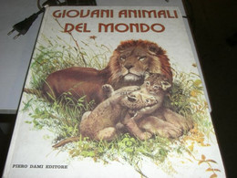 LIBRO"GIOVANI ANIMALI DEL MONDO" ILLUSTRAZIONI DI NEMO 1974-DAMI EDITORE - Novelle, Racconti