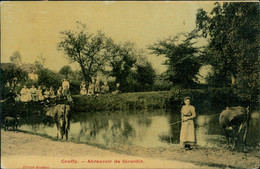 41 COUFFY / Abreuvoir De Girardin / CARTE COULEUR TOILEE, BELLE ANIMATION - Saint Amand Longpre