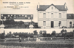 86-POITIERS- GRANDE PEPONIERES DE VIGNES DU POITOU, UN COIN D'UNE PEPINIERE - A . MAGNAN - MULTIVUES - Poitiers