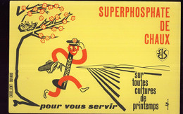 B451 - BUVARD -  SUPERPHOSPHATE DE CHAUX - Agricultura