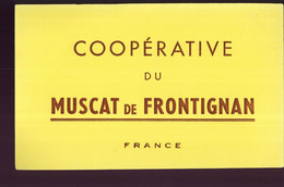 B895 - BUVARD  - COOPERATIVE DU MUSCAT DE FRONTIGNAN - Drank & Bier