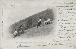 ALLEVARD LES BAINS -DESCENTE EN TRAINEAU - AU DOS PAIRE TYPE SAGE PAIRE N° 102 -ANNEE 1900 - Allevard