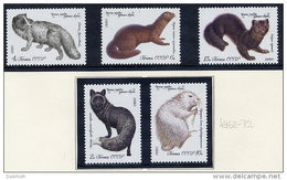 SOVIET UNION 1980 Fur-bearing Mammals Set Of 5 MNH / **.  Michel 4969-72 - Unused Stamps