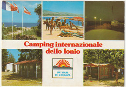 S. CATERINA IONIO - CATANZARO - CAMPING INTERNAZIONALE DELLO JONIO - VIAGG. -56255- - Catanzaro