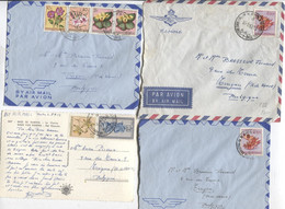 933PR/ Congo 8 Lettres Fleurs Avion > Belgique - Storia Postale