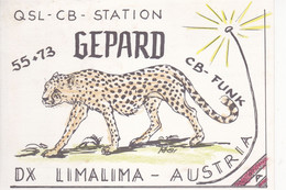 QSL CARD   --   AUSTRIA  --   GEPARD - Andere & Zonder Classificatie