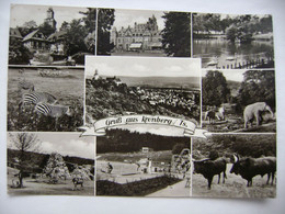 KRONBERG / Ts. - Gesamtansicht, ZOO (Elefant Rippen...), See, Schwimmbad, Stempel Oberursel (Taunus) - Posted 1968 - Kronberg