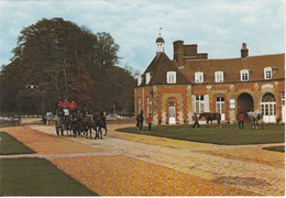 EXMES. Le Haras Du PIN. Attelage. Chevaux - Exmes