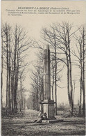 37  Beaumont La Ronce  -  Colonne Elevee Au Bois De Chalonge Le  12 Octobre 1810 - Beaumont-la-Ronce