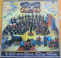 Pochette Seule - Groupe PROCOL HARUM Live - Accessori & Bustine