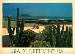 CPSM Isla De Fuenteventura    L349 - Fuerteventura