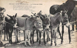 Saujon      17           La Foire Aux ânes     . Cliché Braun     (voir Scan) - Saujon