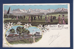 CPA Suisse Helvétia Schweiz Svizzera Circulé  Litho Gurten Kulm - Autres & Non Classés