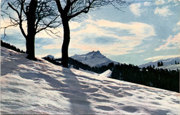 Landschaft - Baulmes (3410) - Baulmes