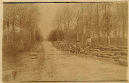 Brest * Carte Photo * Travailleurs Américains Près De * Scierie Métier Bois Scieurs Bûcherons ! - Brest