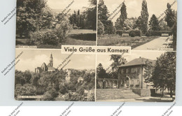 0-8290 KAMENZ, Lessinghaus, Rosengarten..., 195 - Kamenz