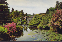 United Kingdom PPC Newstead Abbey The Waterfall - Japanese Gardens (2 Scans) - Northamptonshire