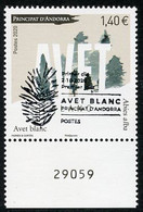 ANDORRA ANDORRE (2020) - Avet Blanc, Abies Alba, Sapin Blanc - Premier Jour, First Day Postmark, Matasello Primer Día - Gebruikt