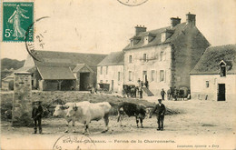 évry Les Châteaux * La Ferme De La Charronnerie * Boeufs * Paysan * Fermier Agriculture - Evry