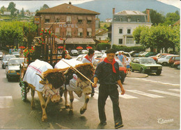 PAYS BASQUE  ATTELAGE DE BOEUFS UN JOUR DE FETE - Attelages