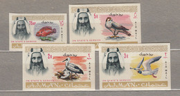 BIRDS Vogel Oiseaux Ajman 1964 Few Imperforated Stamps  MNH (**) #21070 - Sin Clasificación