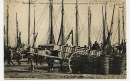 8565 - Somme - LE CROTOY  : DECHARGEMENT  DES BATEAUX  HENONNIERS Au PORT -   Circulée En 1907 - Le Crotoy
