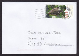 Netherlands: Cover, 2021, 1 Stamp + Tab, Bream Fish, Freshwater Animal (traces Of Use) - Storia Postale