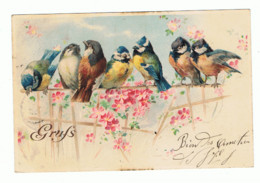 FANTAISIE - Oiseaux, Mésange, Moineau Sur Une Branche - " GRÜSS "- 1899 (1759) - Vögel