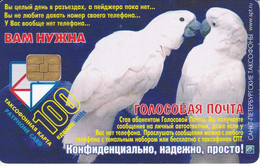 TARJETA DE RUSIA DE DOS GUACAMAYOS  (PARROT-LORO) - Papageien
