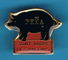 PIN'S //  ** PÉÑA / SAINT-ANDRÉ DE SANGONIS ** - Corrida