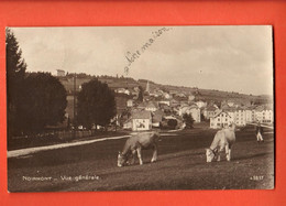 ZLA-01 Le Noirmont  Vue Générale Et Vaches Au Premier Plan. Sepia. Circulé 1921  Perrochet-M. 6837 - Le Noirmont