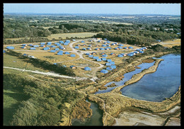 Cp Dentelée - QUIMIAC PLAGE - Camp Treambert - Edit. SOFER - 1971 - Mesquer Quimiac